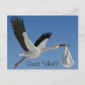 Carte Postale Stork avec Baby Bundle (Devant)