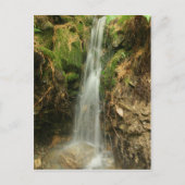 Carte postale Storm Runoff (Devant)