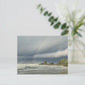 Carte Postale Storm Watching in Tofino British Columbia (Debout devant)