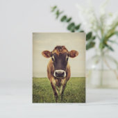 Carte Postale Stormy (Debout devant)