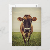 Carte Postale Stormy (Devant / Derrière)