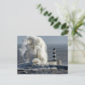 Carte Postale Stormy Seas at Roker (Debout devant)