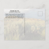 Carte Postale Stormy Sky Fossil Butte Monument National Wyoming (Dos)