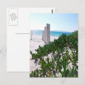 Carte Postale Strand bei Alghero Sardinien - Postkarte (Devant / Derrière)