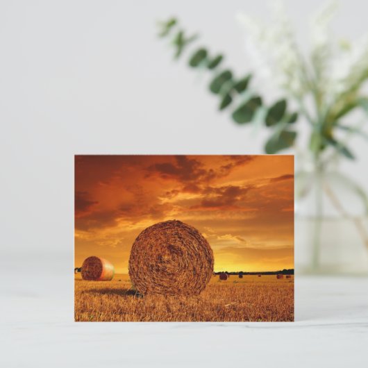 Carte Postale Straw bales on farmland with red cloudy sky (Debout devant)