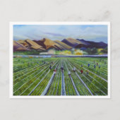 Carte Postale Strawberry Fields (Devant)