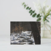 Carte postale Stream d'hiver (Debout devant)