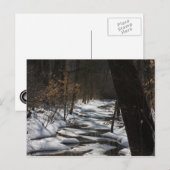 Carte postale Stream d'hiver (Devant / Derrière)