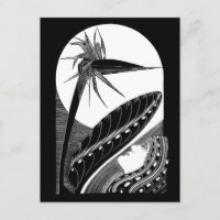 Strelitzia sursoufflé - art vintage noir et blanc
