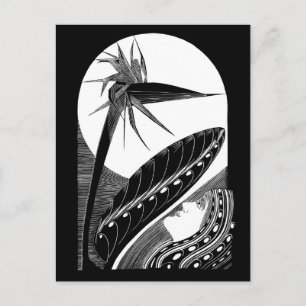 Carte Postale Strelitzia sursoufflé - art vintage noir et blanc