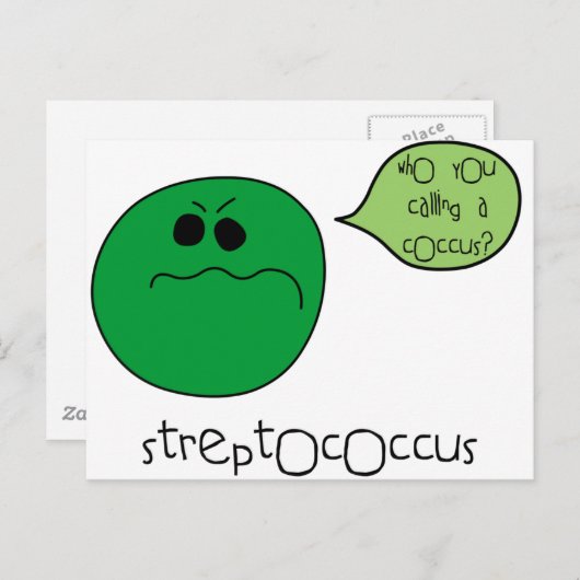 Carte Postale Streptocoque (Devant / Derrière)