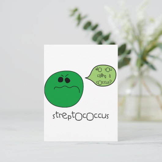 Carte Postale Streptocoque (Debout devant)