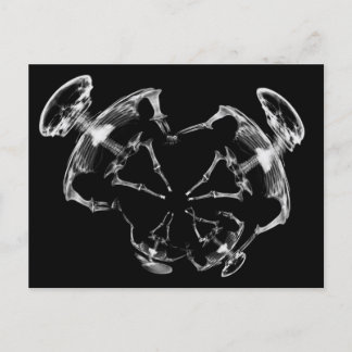 Carte Postale Stretched X-Ray Skeleton Family B&W