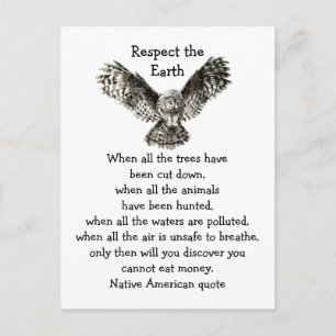 Carte Postale Striking Owl Respecter la Terre Amérindienne
