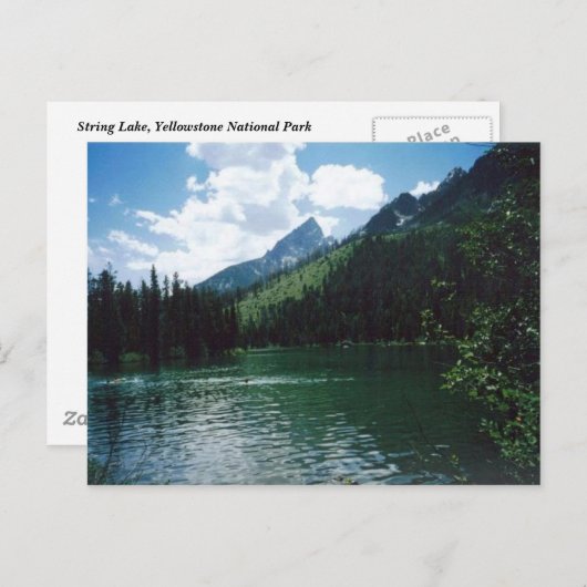 Carte Postale String Lake - Yellowstone (Devant / Derrière)