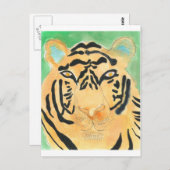 Carte Postale Stripe.JPG (Devant / Derrière)