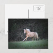 Carte Postale Strong Desire (Devant / Derrière)