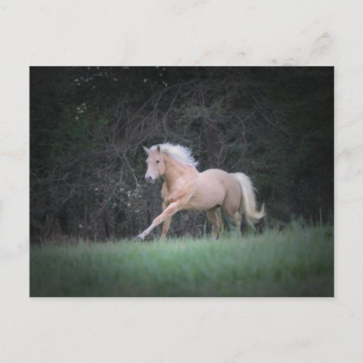 Carte Postale Strong Desire (Devant)