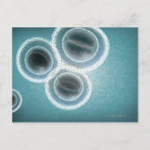 Carte Postale Structure de la SARM (Devant)