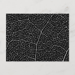 Carte Postale Structure des veines feuille