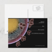 Carte Postale Structure d'une cellule VIH (Devant / Derrière)