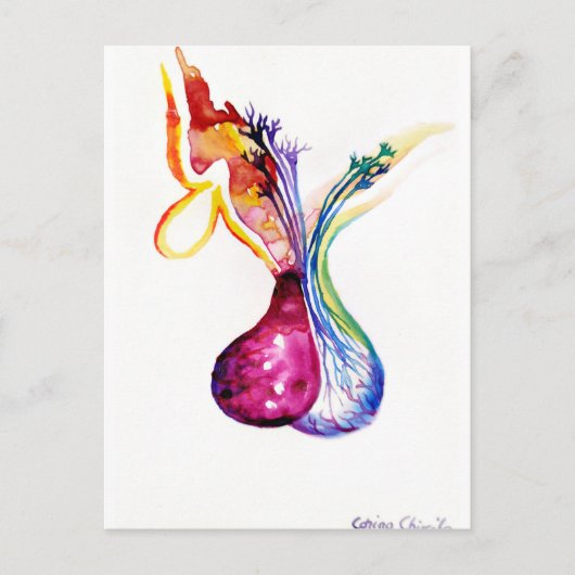 Carte Postale Structure hypophysaire (Devant)