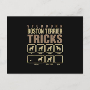 Carte Postale Stubborn Boston Terrier Tricks Amoureux des chiens