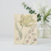 Carte Postale Studie Van Een Gele Tulp En Een Andere Plante (Debout devant)