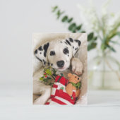 Carte Postale studio (Debout devant)