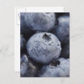 Carte Postale Studio photo de bleuets 2 (Devant / Derrière)