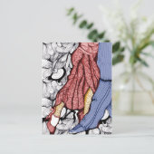 Carte Postale Studio Tango (Debout devant)