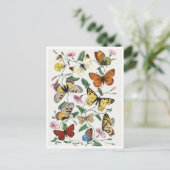 Carte Postale Study of Diurnal butterflies by Paul Gervais (Debout devant)