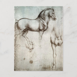 Carte Postale Study of horses