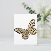 Carte Postale Stuff pour les enfants papillon (Debout devant)