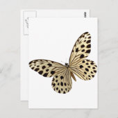 Carte Postale Stuff pour les enfants papillon (Devant / Derrière)