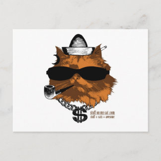 Carte Postale Stuff sur mon chat - 2 kewl