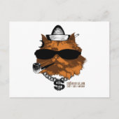 Carte Postale Stuff sur mon chat - 2 kewl (Devant)