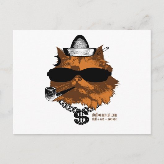 Carte Postale Stuff sur mon chat - 2 kewl (Devant)