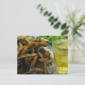 Carte Postale Style Edamame Thai (Debout devant)