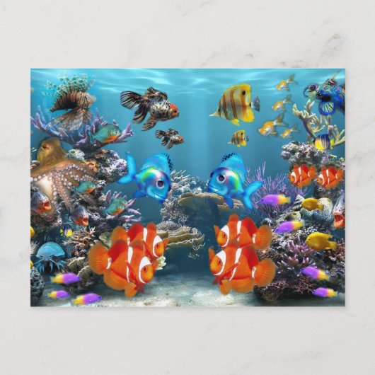 Carte Postale Style Vie marine Aquarium (Devant)