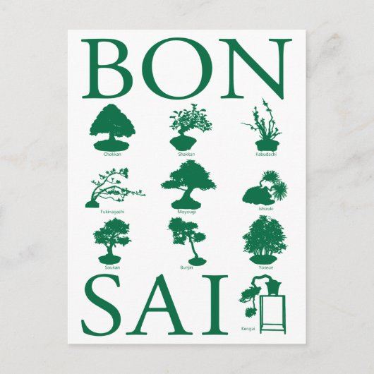 Carte Postale Styles de base de l'arbre Bonsai (Devant)