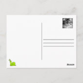 Carte postale stylisée de chats de Sibérie (Dos)