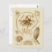 Carte Postale Stylo (Devant / Derrière)