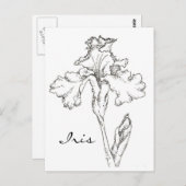 Carte Postale Stylo à fleurs de printemps Iris et dessin d'encre (Devant / Derrière)