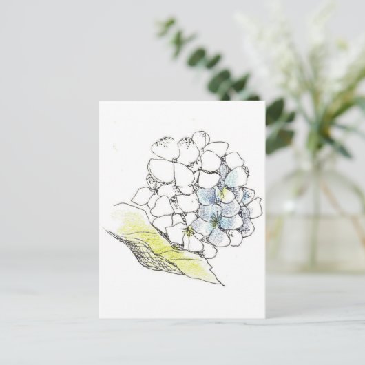 Carte Postale Stylo à fleurs Hydrangea et dessin d'encre (Debout devant)