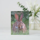 Carte Postale Stylo de parc (Debout devant)