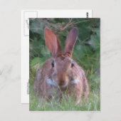 Carte Postale Stylo de parc (Devant / Derrière)