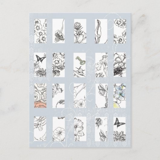 Carte Postale Stylo en encre noire fleur sauvage Croquis d'art b (Devant)