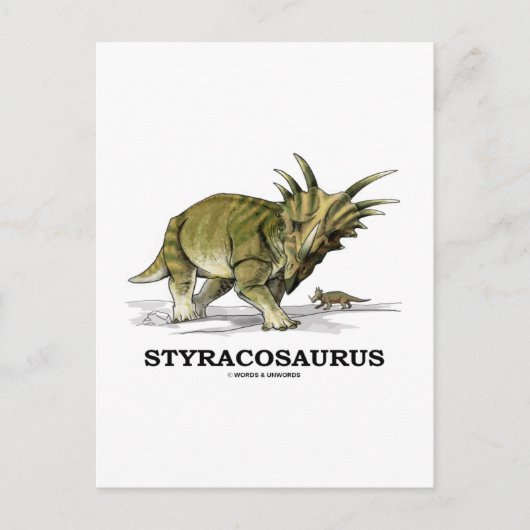 Carte Postale Styracosaurus (Devant)