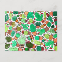Succulent Cactus Pots Plante Vert Cactus Jardin